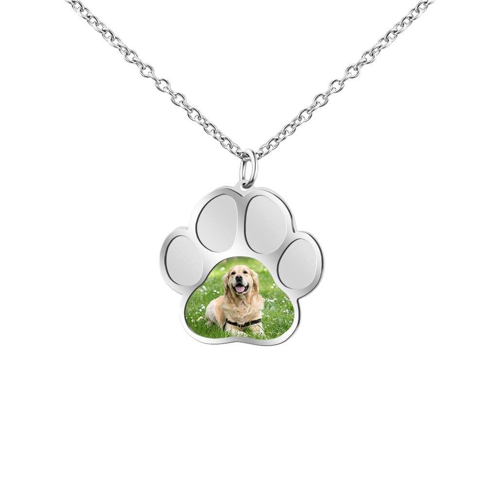 Colar Personalizado para Pet Amorza Especial - Com Foto Personalizável