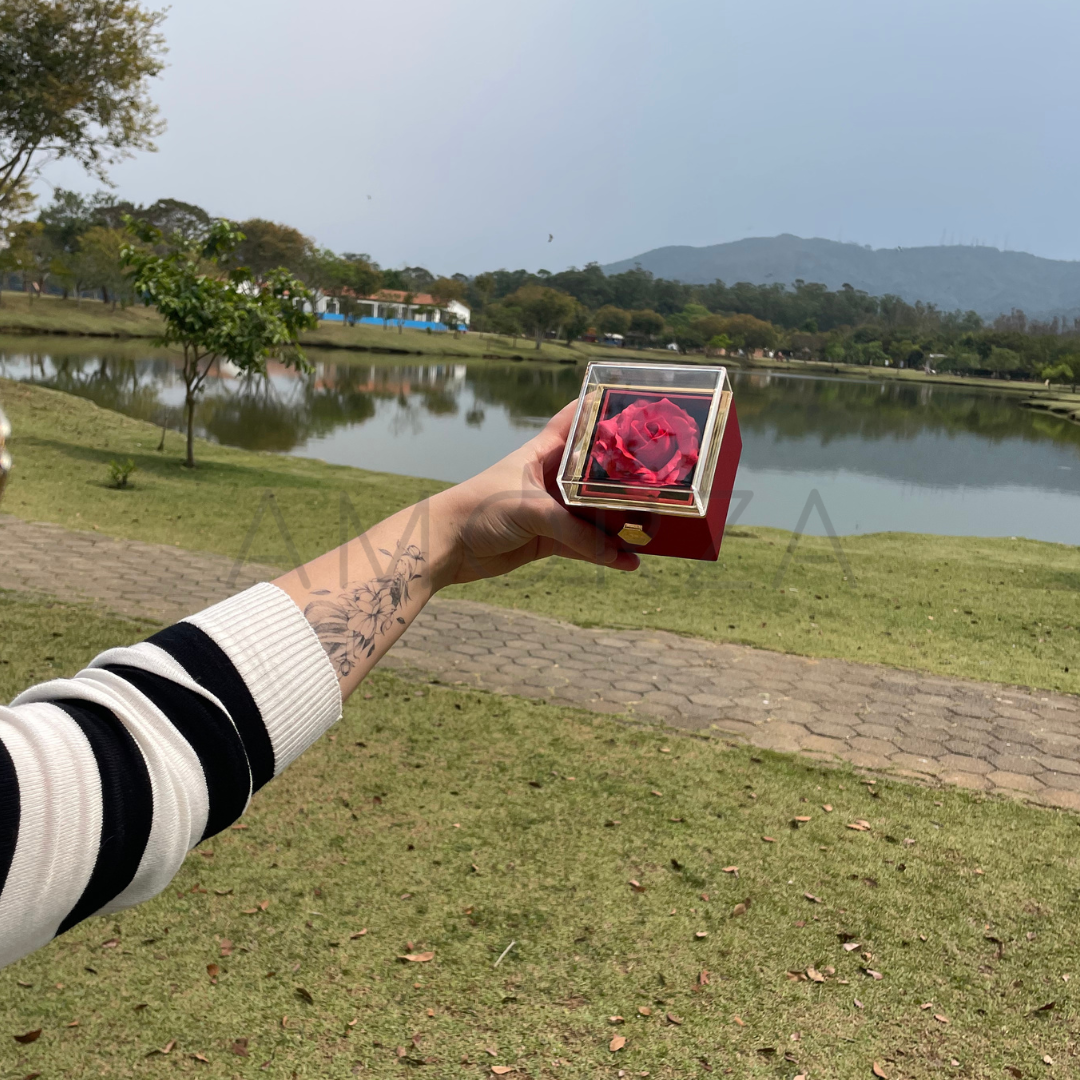 Kit Colar Feminino Dourado Com Foto Personalizável + Caixa C/ Rosa Preservada