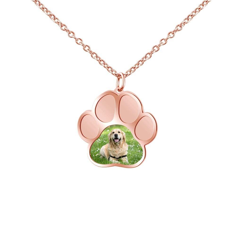 Colar Personalizado para Pet Amorza Especial - Com Foto Personalizável